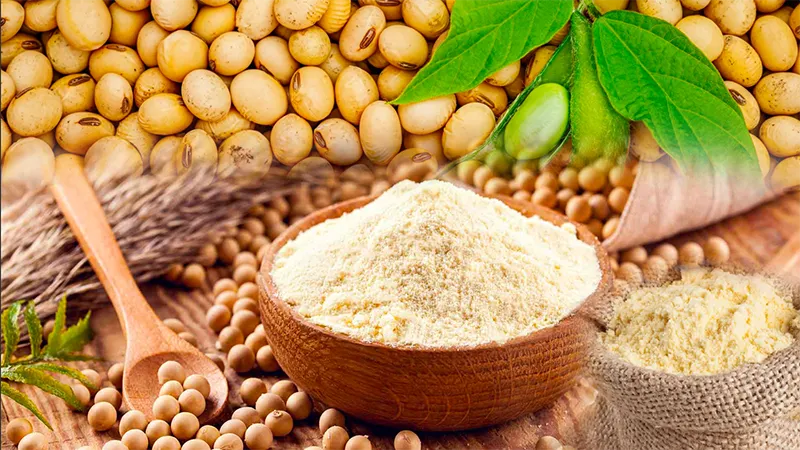 NHẬN ĐỊNH SẢN PHẨM KHÔ ĐẬU TƯƠNG THÁNG 7/2026 (ZMEN26) - [01/06/2025]